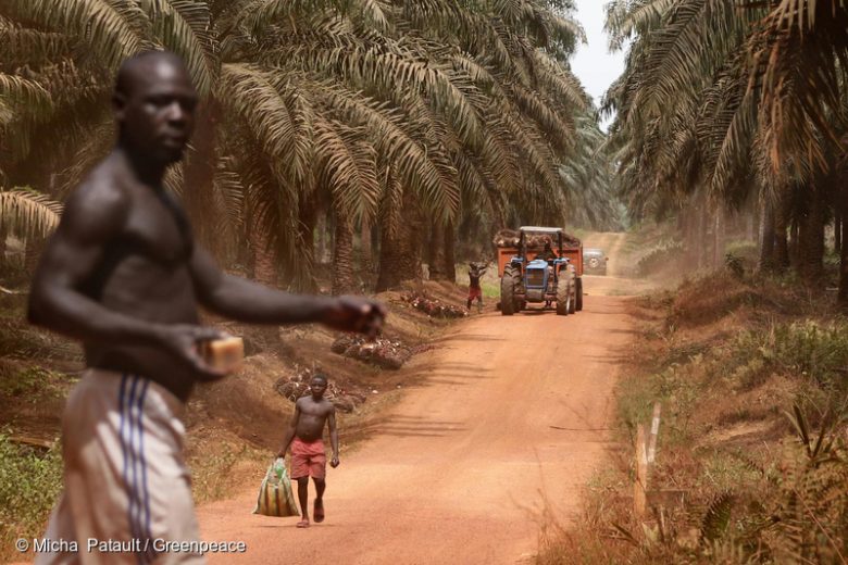 Arbeiter in der Palmölplantage der Socfin-Tochter Socapalm bei Apouh in Kamerun.